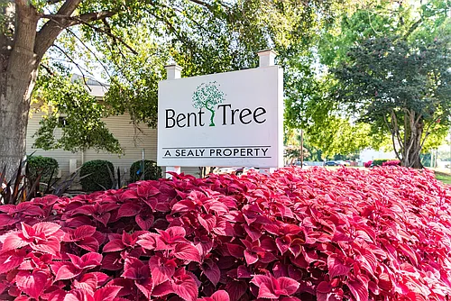Bent Tree Apartment Homes Photo 1