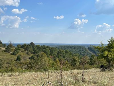 Tower Rd, Ash Flat, AR, 72513