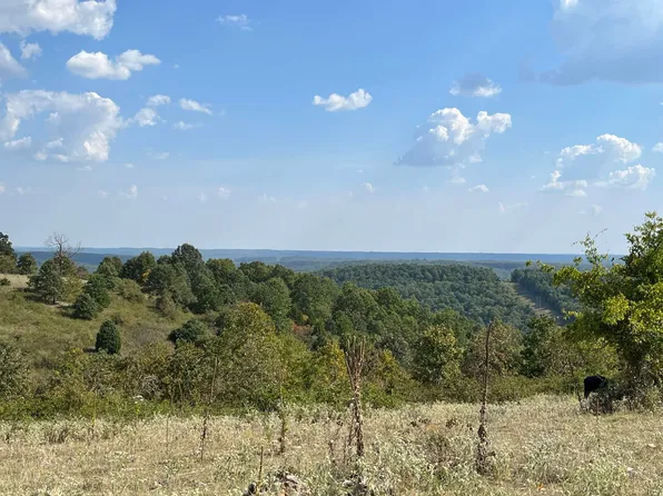Tower Rd, Ash Flat, AR 72513