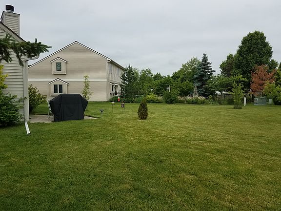 Large back yard.