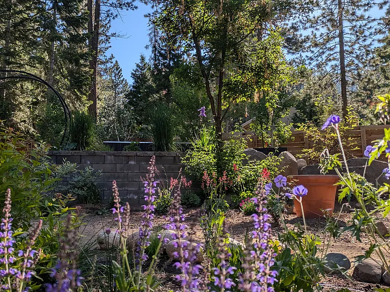 Mature landscaping includes 2 fruit trees and various herbs