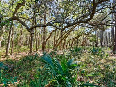 1 Canters Ct, Bluffton, SC, 29910