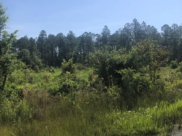 4136 Highway 125 N, Nashville, GA 31639