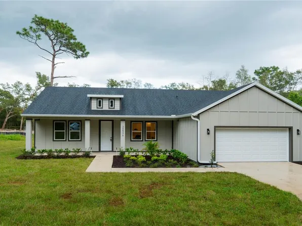 30536 Hoylake St, Sorrento, FL 32776