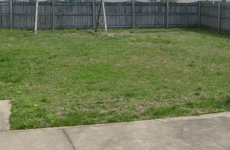 Backyard with six foot privacy fence.