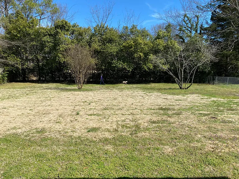 Large backyard with chain link fence.