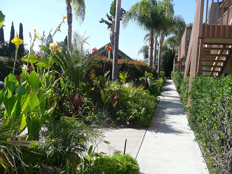 Floral tropical landscaping