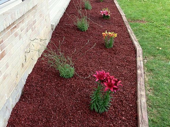 Front landscaping