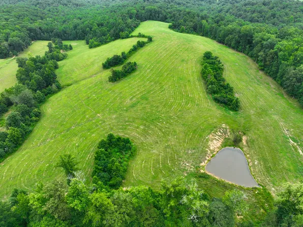 45 Possum Hollow Rd, Palmyra, TN 37142