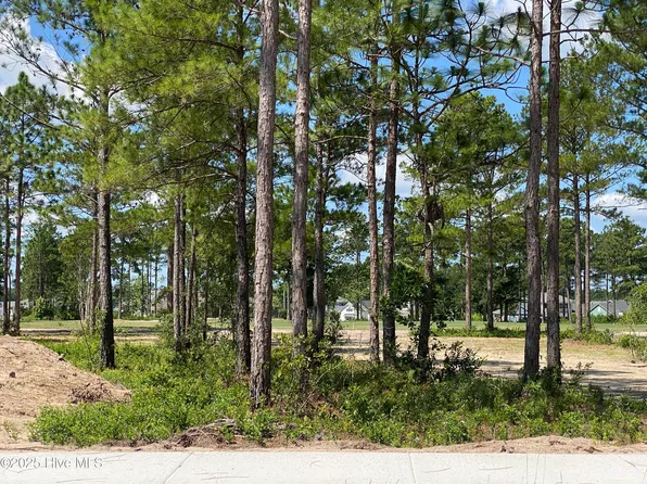 8743 Compass Pointe West Wynd NE Lot 1, Leland, NC 28451