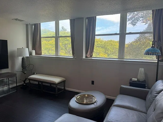 2 bed, 740 sqft, $2,000 — Photo 3