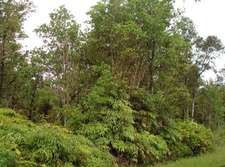 Pikake St, Mountain View, HI 96771