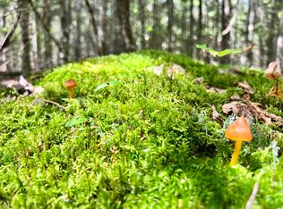 M7-L11A Pond Hill Rd, Brooks, ME 04921