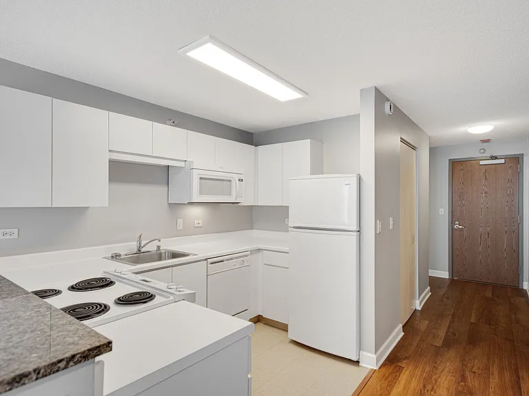 2 E Erie St #1804 — Photo 9
