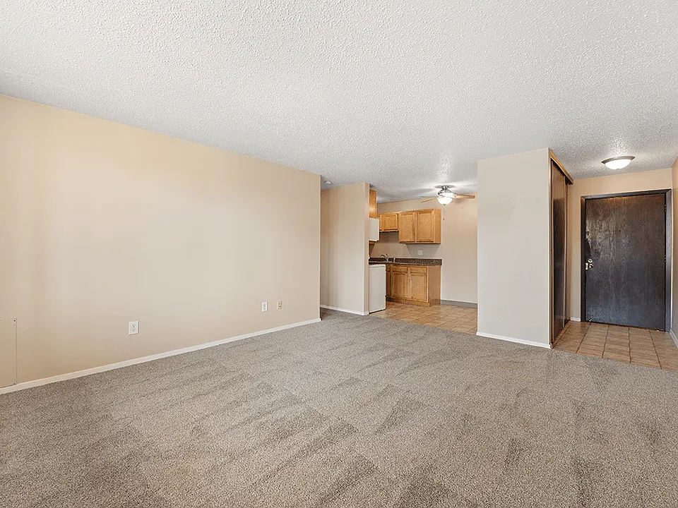 Cozy Plush Carpeting
