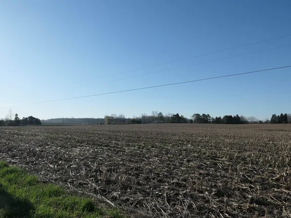 E Blanchard Rd, Shepherd, MI 48883