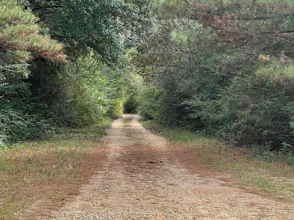 0 Wildwood Dr, Lumberton, MS 39455