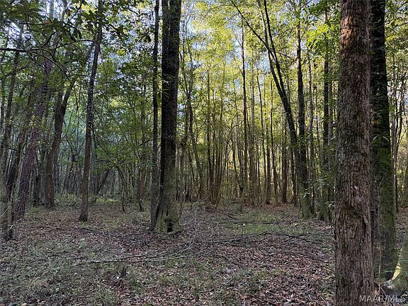 3rd image of 0 Coosa Rd