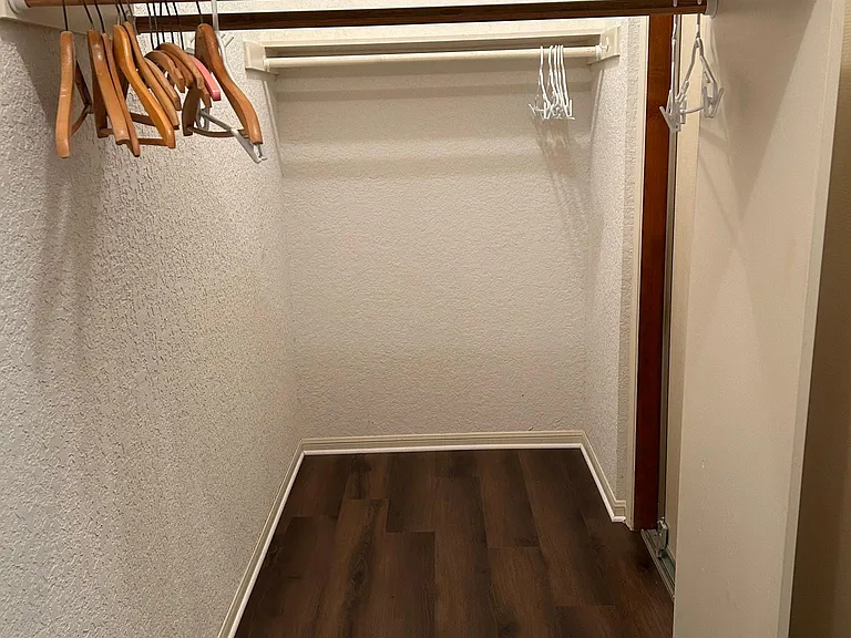 Master bedroom closet (downstairs)