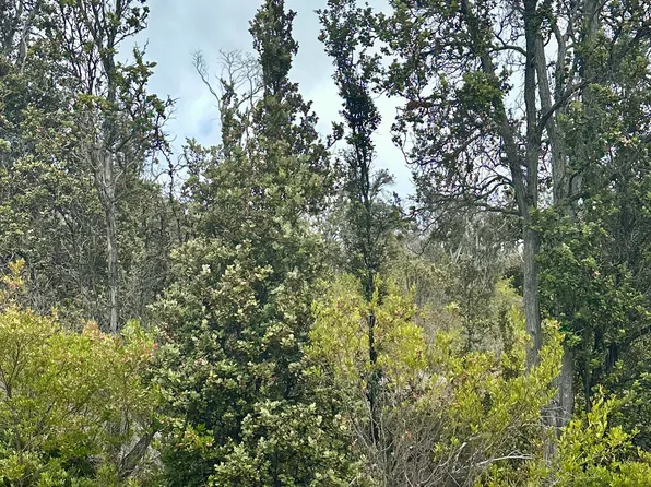 PINEAPPLE PKWY, Ocean View, HI 96737