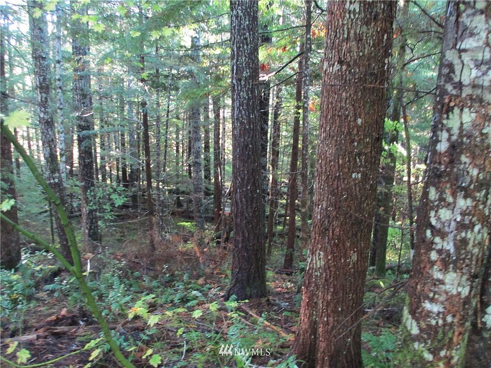 2nd image of 31 N Deer Court