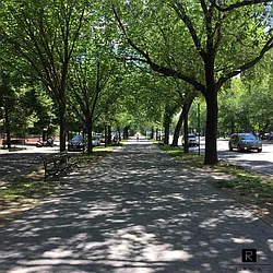 Rented by R New York