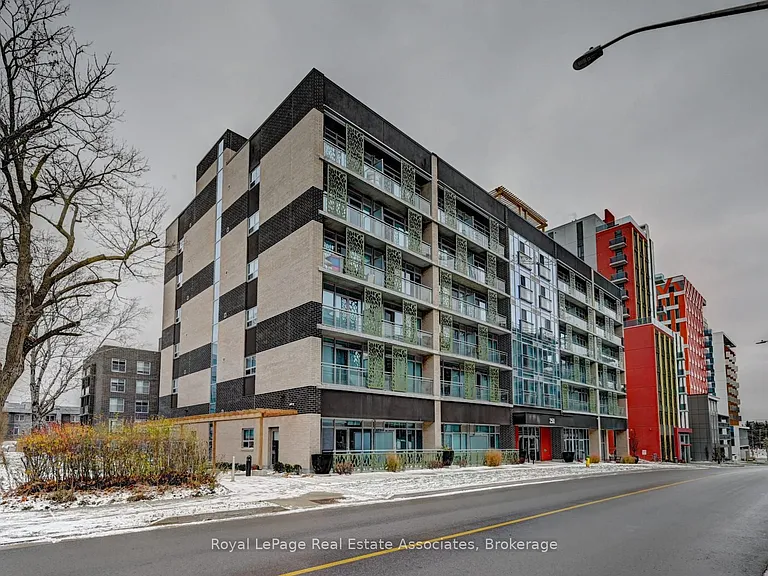 250 Albert St #319 — Photo 8