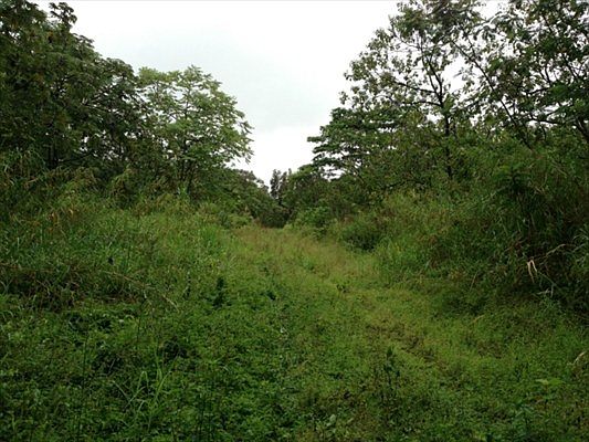 2nd image of Kapoho Rd
