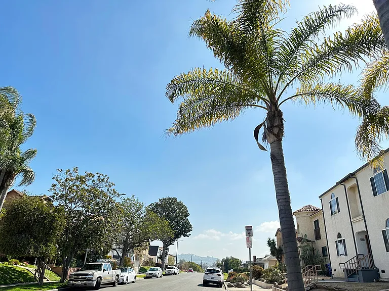 1607 1/2 S Sierra Bonita Ave — Photo 2