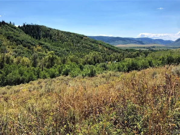 56050 Myrtle Court, Clark, CO 80428