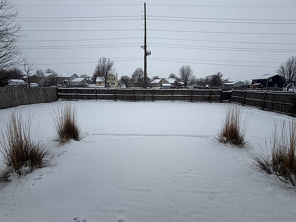 Back yard