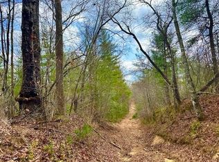 144 Gunter Place Rd LOT 1, Sunbright, TN 37872