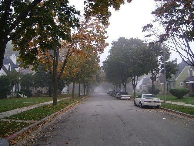 StreetView
