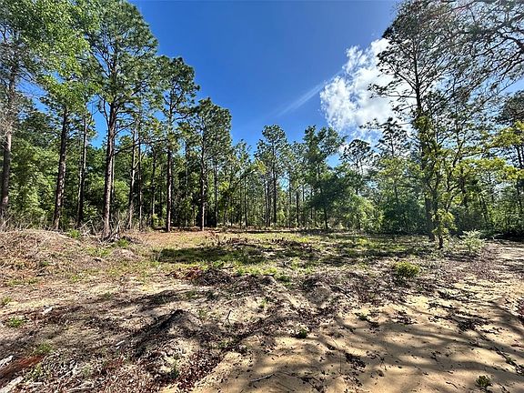 4th image of 4 SW 157th Ct Lot 16