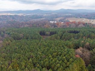 0 Foxpaw Leaf Ln #20, Ellijay, GA 30536