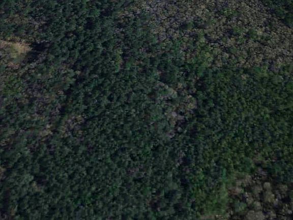 4th image of Fm 1008