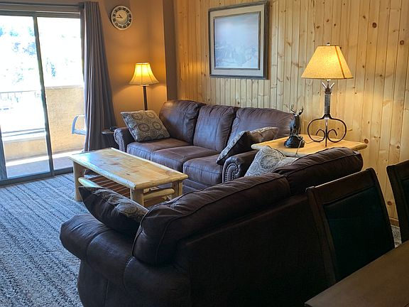 Living room. Pull out sofa bed.