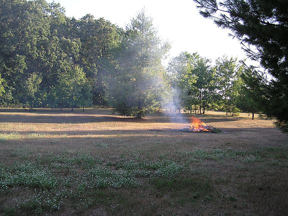 back yard