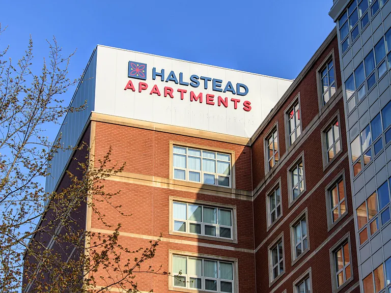 Halstead Burlington — Photo 32