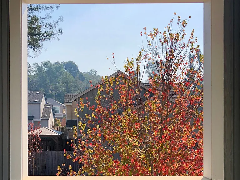 1315-1339 Lia Ln — Photo 11