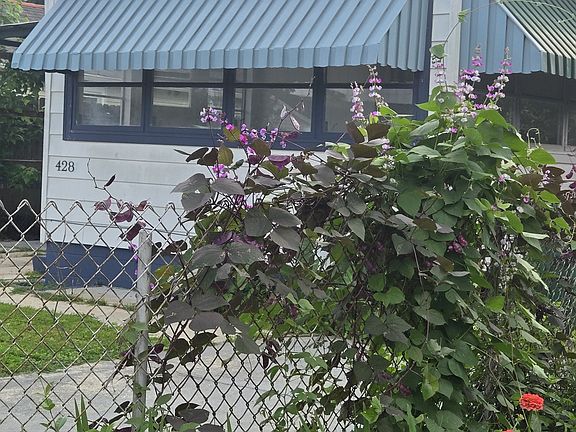 3rd image of 428 Papworth Ave