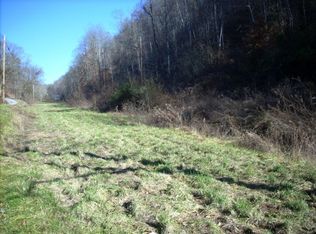 2425 Long Hollow Rd, Sneedville, TN 37869