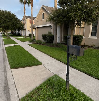 Sidewalk/Neighborhood