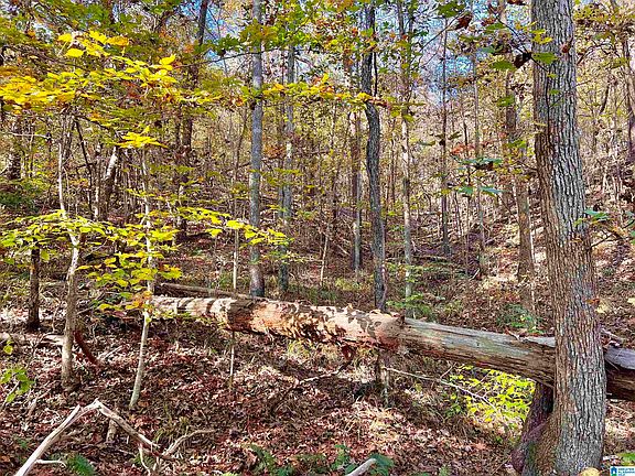 4th image of 0 N River Cir #11