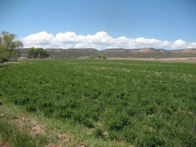 15541 Shavano Valley Rd, Montrose, CO, 81403