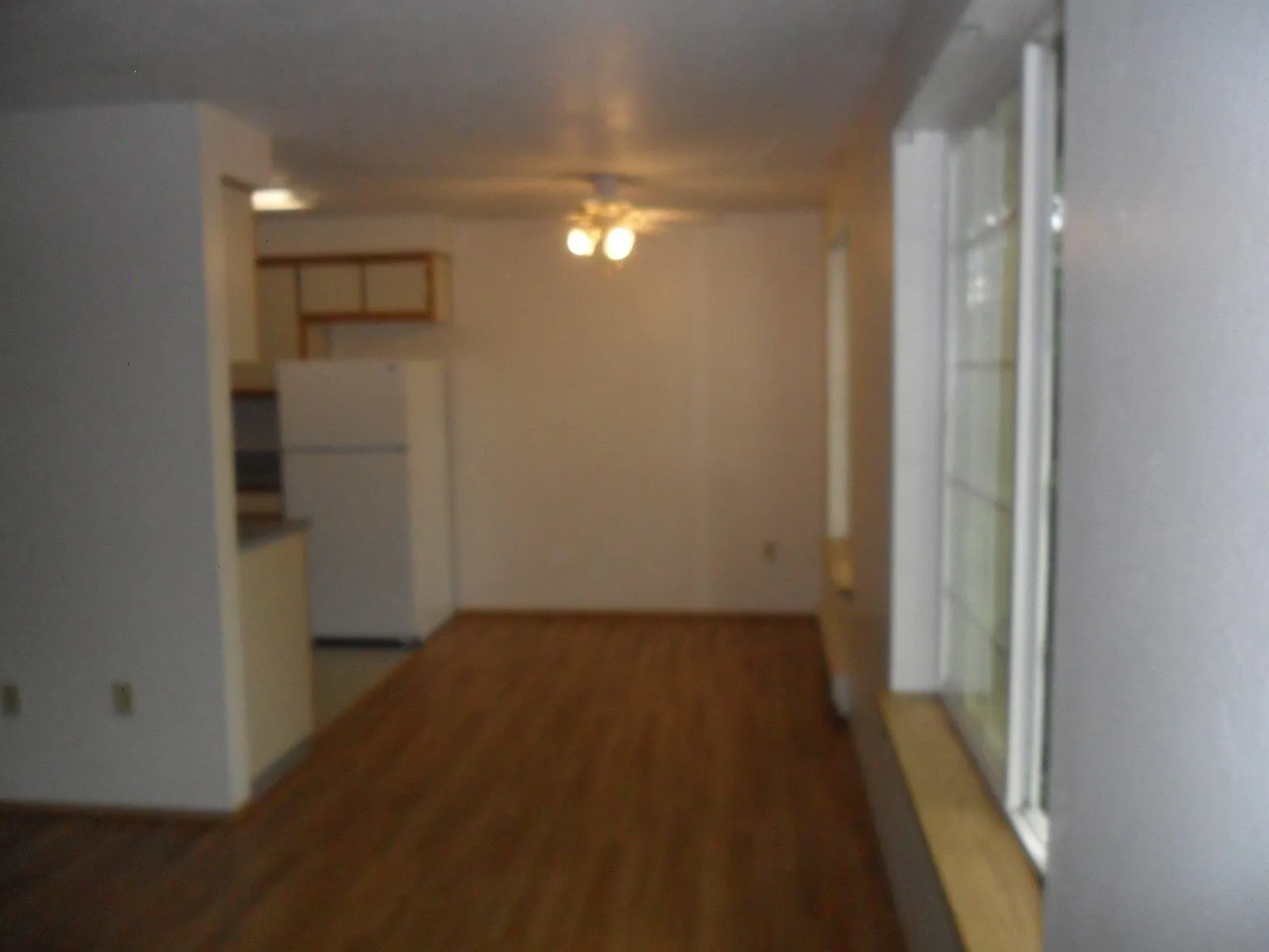 Madrona Place Apts - 210 — Photo 2