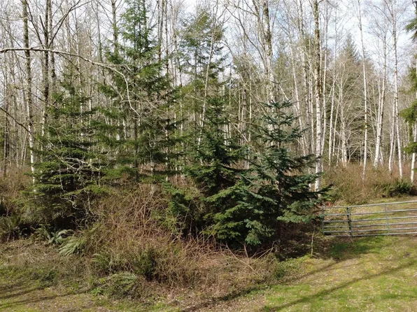 0 Blacktail Court, Quilcene, WA 98376