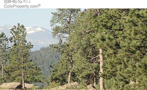 1st image of 480 Lizard Head Mountain Dr