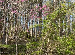 Powell Valley Rd, Big Stone Gap, VA 24219