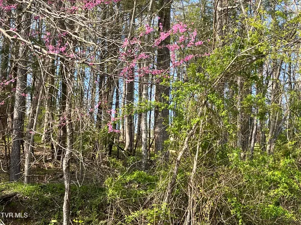 Powell Valley Rd, Big Stone Gap, VA 24219